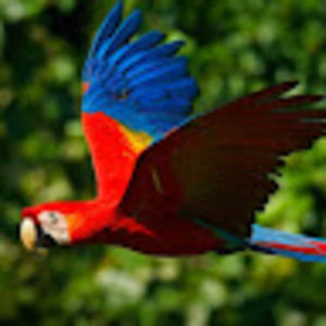 Meet your Posher, Ron